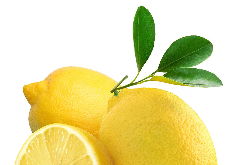 Limoni siciliani