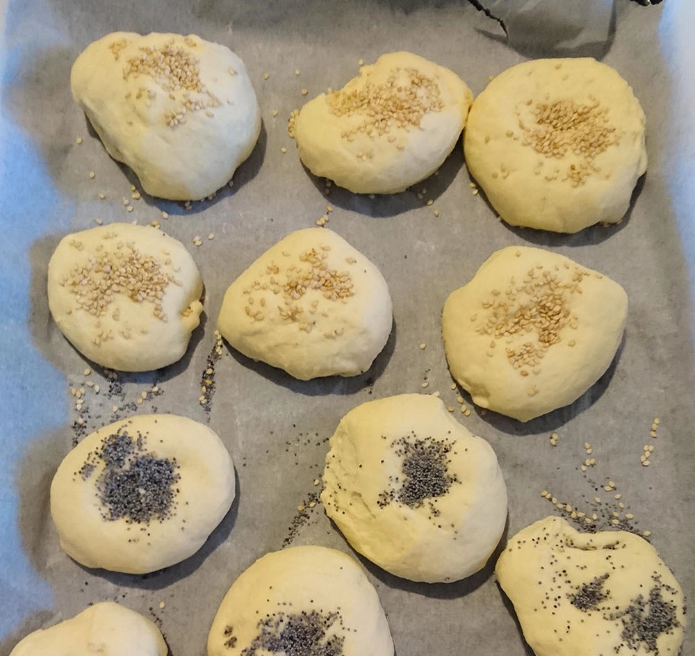Panini ai semi vari — foto 2